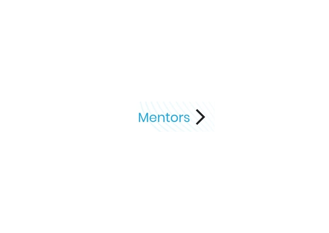4. Experts/Mentors